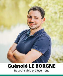 Guénolé LE BORGNE