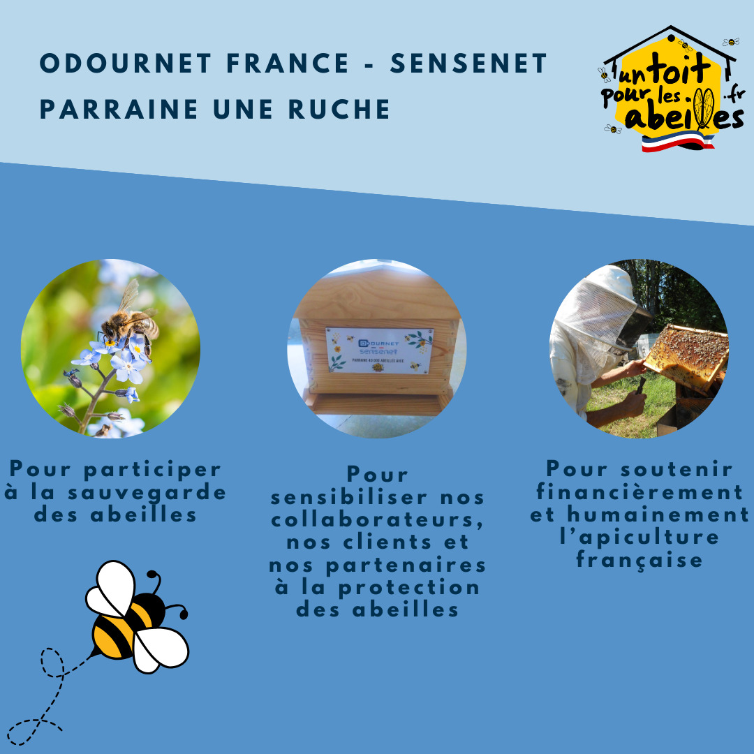 Nous parrainons une ruche 🐝